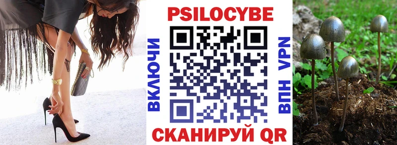 Галлюциногенные грибы Magic Shrooms купить закладку Дорогобуж